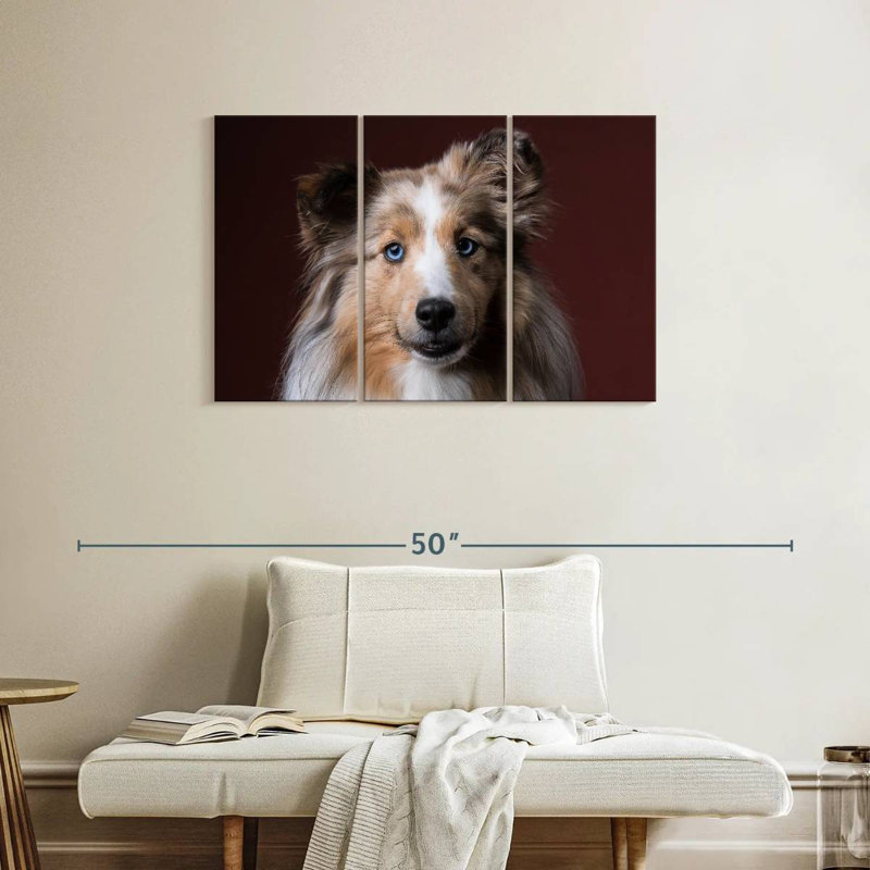 Adorable Sheltie, H 24 po x l 38 po