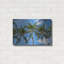 «Palawan Palm Trees I» par Richard Silver, art mural en métal-121128547