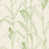 Summer Green/Cream