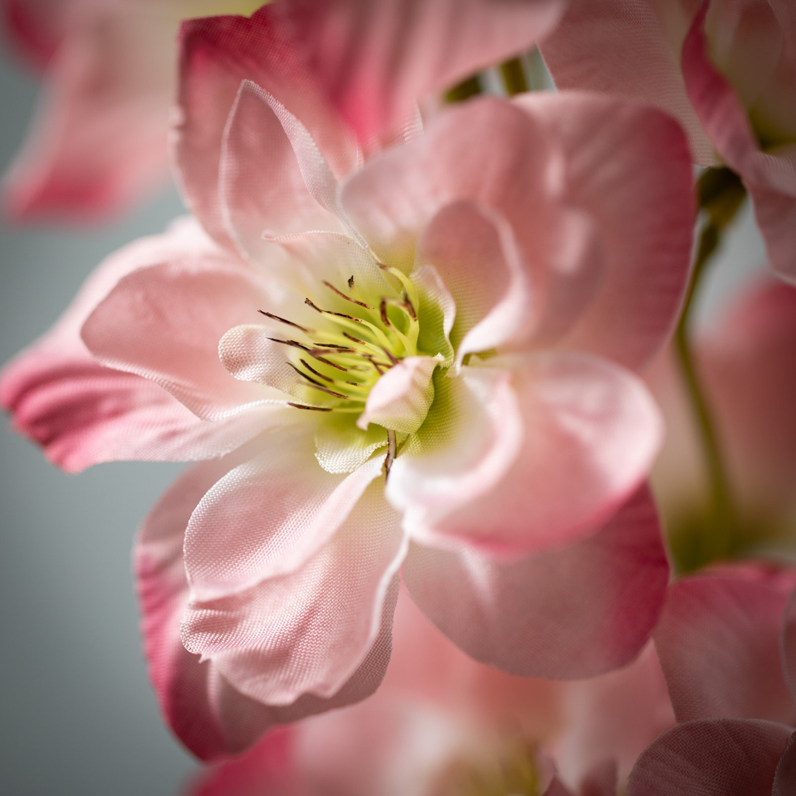 Nod To Nature 37" Coral Pink Delphinium Spray
