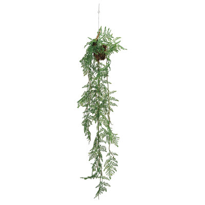 Verdant Polyethylene Hanging Kokedama