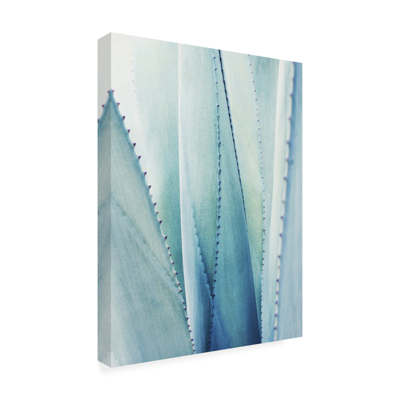 Reproduction de photo sur toile, "Pale Blue agave no. 1" par Lupen Grainn-reproduction de photo sur toile