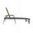 Yasmina Outdoor Metal Chaise Lounge Set-519331591-448423821