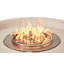 Foyer rose 48 po 95K BTU Rose Bowl-126055705