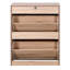 Armoire à chaussures avec revêtement - Vos chaussures de l'humidité 2 portes rabattables pour la maison, panneau de particules fabriqué, rangement généreux et objets du quotidien, finition, assemblage facile, différents intérieurs élégants