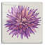 «Floral Portrait on Linen II» par Tim O'Toole, art mural en verre acrylique-776436791
