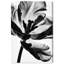 Close Up Silhouette Print by Oliver Gal-1058771475-1058771937