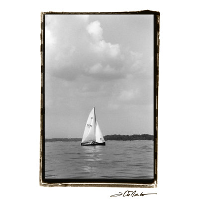 Ocean Breeze IV by Laura DeNardo - 1 Piece Wrapped Canvas Wall Art