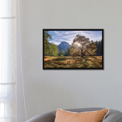" Cook’s Meadow " by Adam Burton
