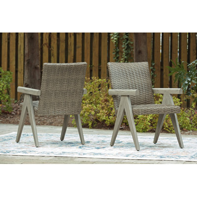 Debbee Outdoor Arm Chair (Set Of 2)