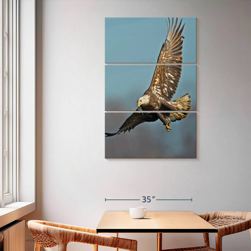 Brampt Soaring Bald Eagle