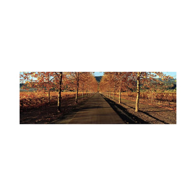Autumn Vineyard Landscape, Beaulieu Vineyard, Rutherford AVA - Wrapped Canvas Panoramic Print