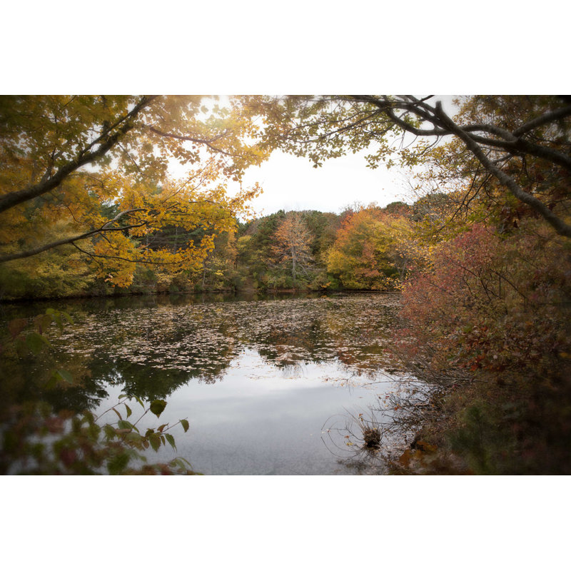 Automne sur l'étang - Photographie sur toile tendue, H 32 po x l 48 po