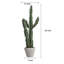 Fausse plante d'intérieur décorative en forme de cactus dans un pot en argile de ciment