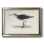 Toile encadrée de qualité supérieure Morris Sandpipers VI - prête à être accrochée-1848197081
