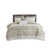 Taupe / Blanc