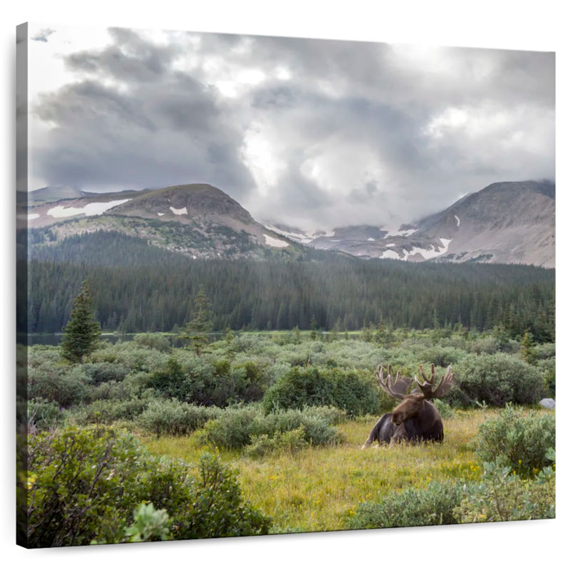 Orignal d'Alvord Brainard Lake