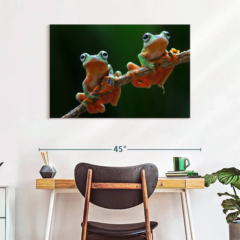 Two Wallace's Flying Frogs, 26" H x 39" W