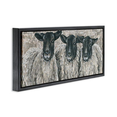 Three Sheep Trio Portrait