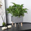 Planter Box