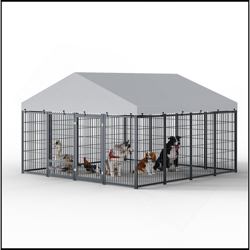 Grand enclos pour chien chenil pour l'extérieur L 9,62 po x l 9,35 po x H 6,18 po.