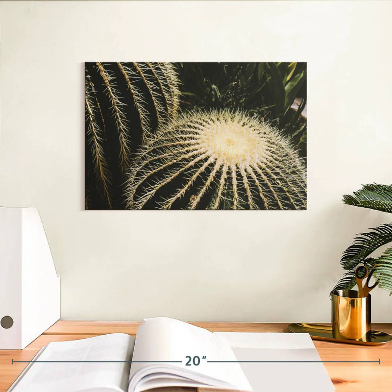 Harnek Barrel Cactus, 8" H x 12" W
