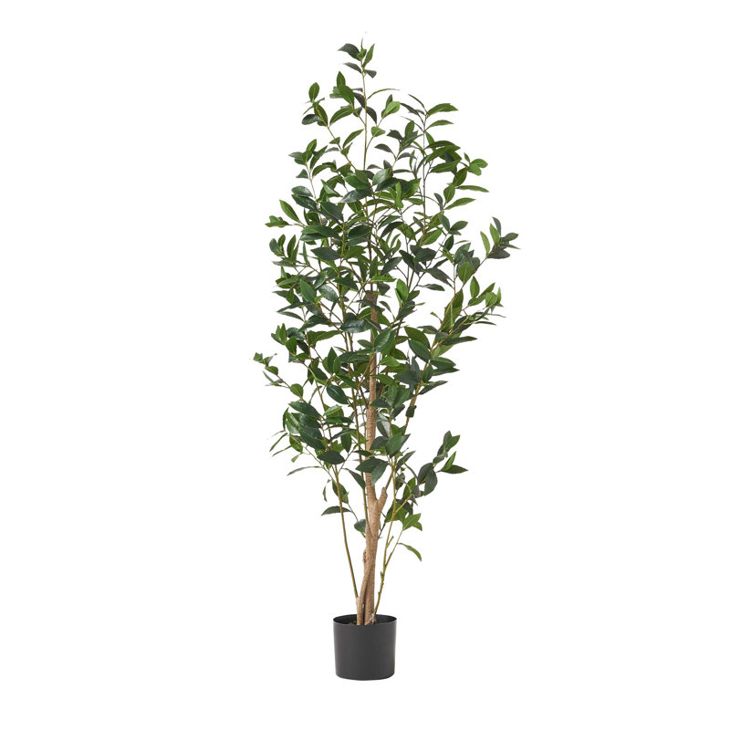 Laurier artificiel avec pot 64 po - Vert