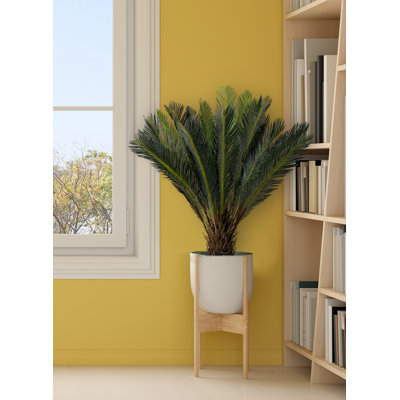 44'' Faux Palm Tree in Pot