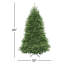 Sapin Dunhill-748437001