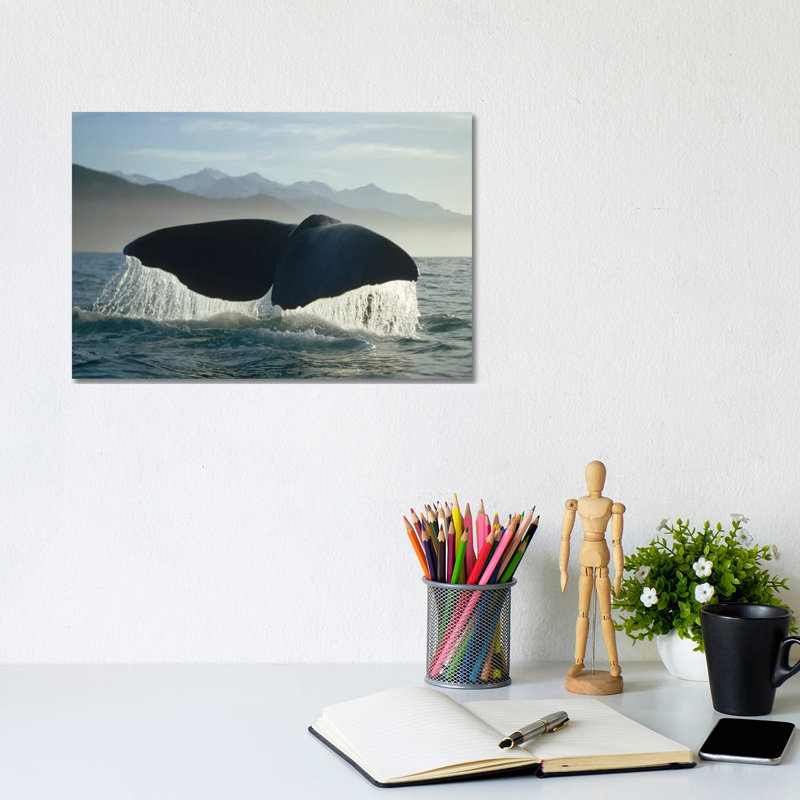 Sperm Whale Tail, New Zealand by Flip Nicklin - Wrapped Canvas Print, 20.32 cm H x 30.48 cm W