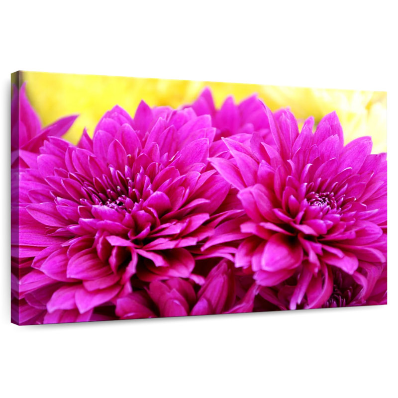 Harnek Hot Pink Mums