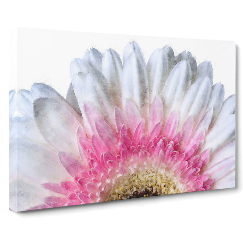 Petals of a Pink and White Gerbera - Wrapped Canvas Painting Print, 50cm H x 76cm W x 3cm D