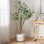 Eucalyptus artificiel en pot-1744484017