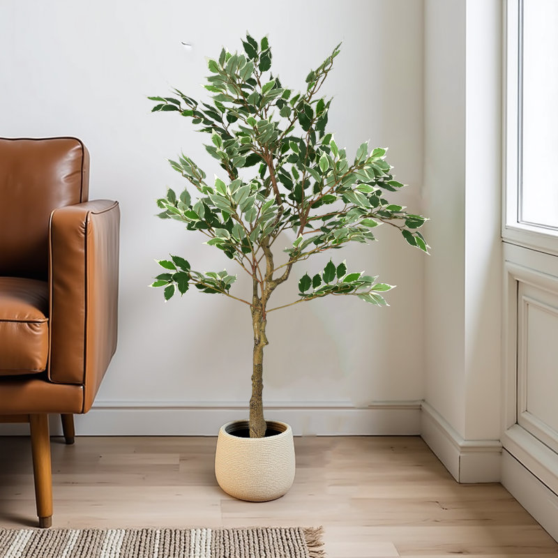 Arbre à ficus artificiel H 51 po