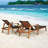 Heschl Outdoor Chaise Lounge with Table