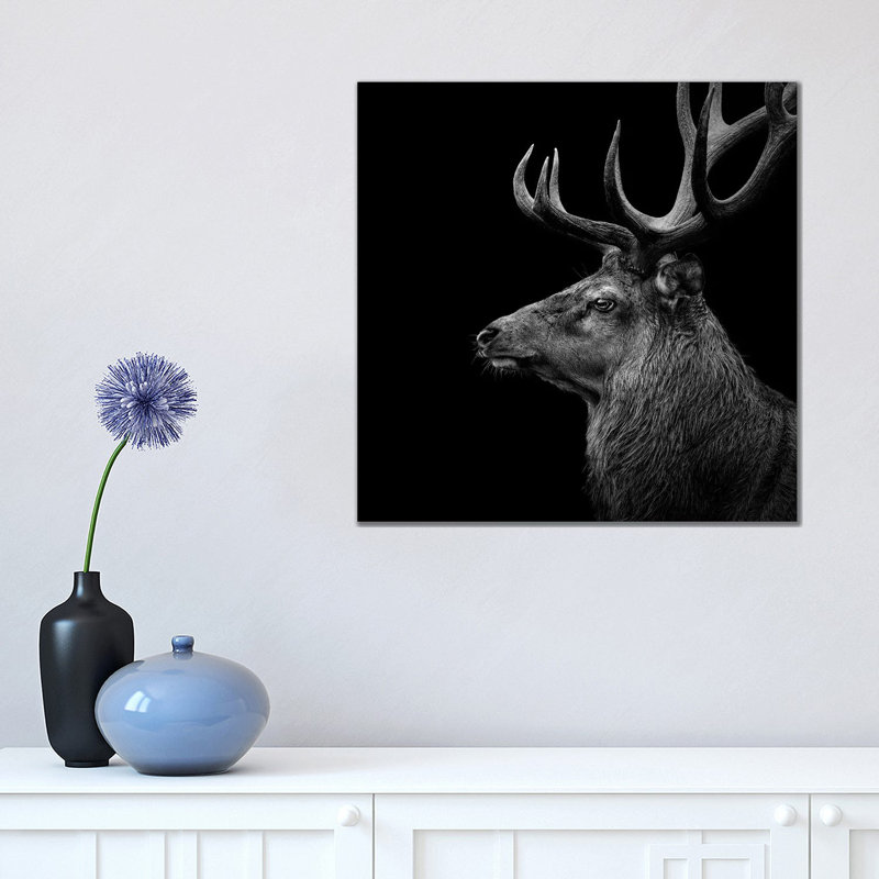 Deer In Black And White by Lukas Holas - Wrapped Canvas Print, 45.72 cm H x 45.72 cm W