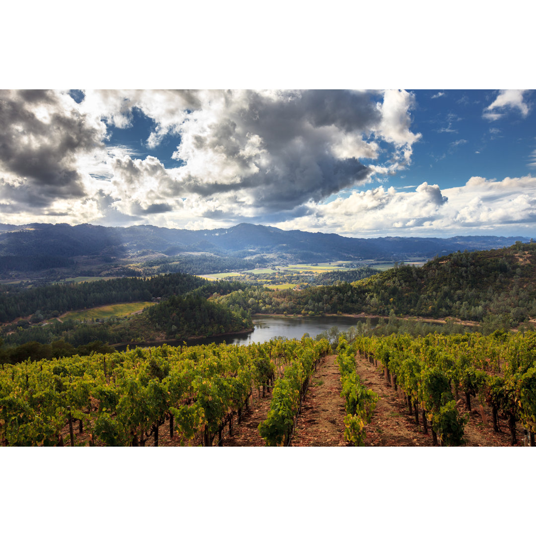 Leinwandbild Panorama von Howell Mountain Napa Valley Wine Country im Herbst