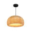 Luminaire suspendu 15 po