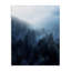 Art mural sur toile "Daylight over Pine Forest" par unsplash-1496523808-1508998067