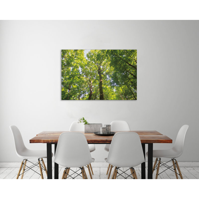 «Hardwood Forest Canopy III», toile tendue par Alan Majchrowicz, H 40 po x l 60 po x P 1,5 po