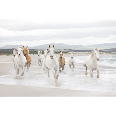 Lawton Animals Wall Mural