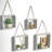 Mekela 4 Piece Solid Wood Floating Shelf-630830386