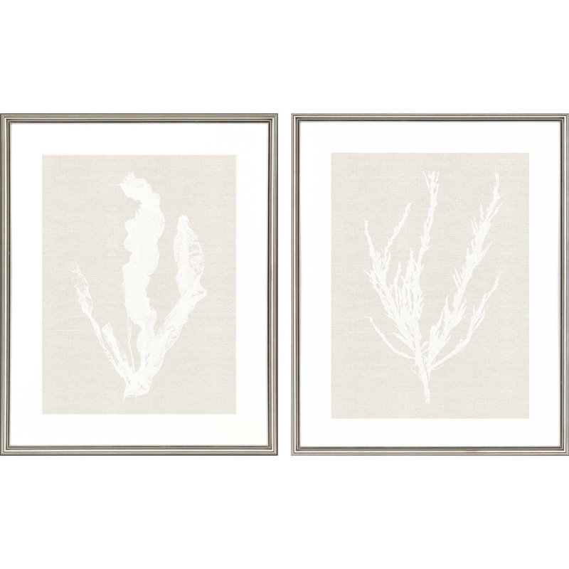White and Silver Framed Seaweed Print Set