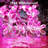 367.2' LED Solar Powered 50 - Bulb String Lights-67943420