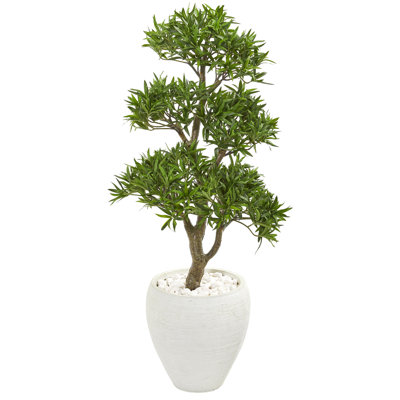 43'' Faux Bonsai Tree in Earthenware Planter