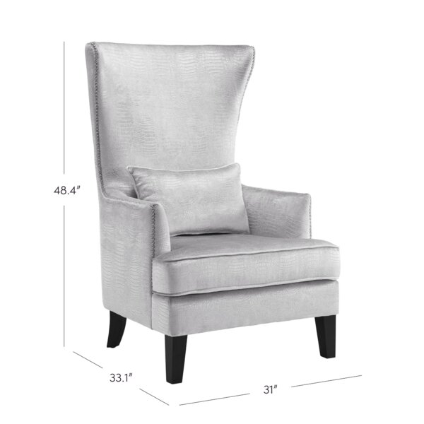 Willa Arlo Interiors Jacinto Velvet Wingback Chair & Reviews | Wayfair