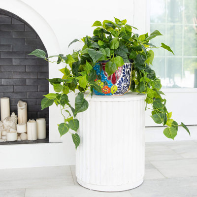 42 po Philodendron artificiel résistant aux rayons UV dans un pot en céramique Talavera mexicain fait à la main (intérieur / extérieur)