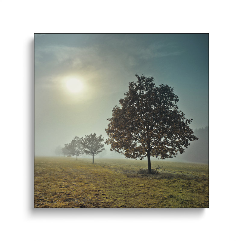 Impression sur toile, "Steppeix" par Assaf Frank
