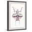 Prehistoric Pink Bug - Single Picture Frame Painting-1048208172