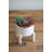 5.5'' Faux Succulent in Ceramic Pot-29552761